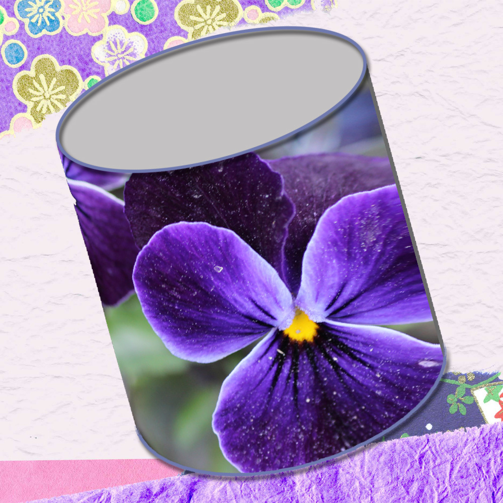 春の空き缶パート２