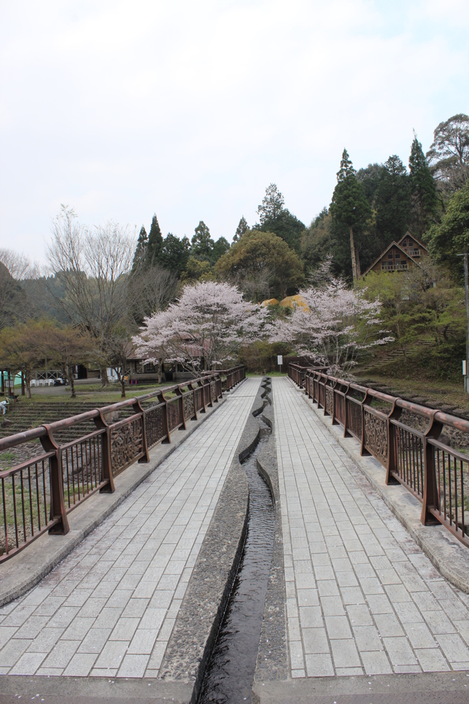 観音滝公園その１