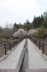 観音滝公園その１