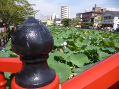 青井阿蘇神社その４