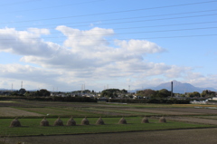 わらこずみと霧島その２