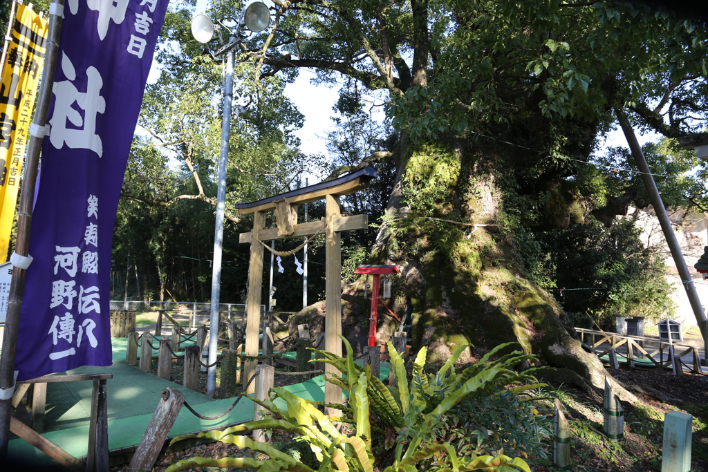 山宮神社④