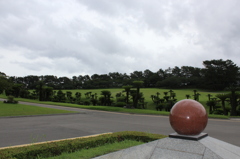 ソテツ園①