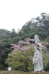観音滝公園その３
