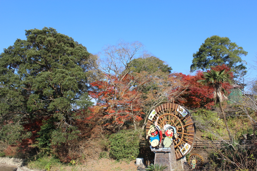 石山観音池の紅葉①