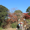 石山観音池の紅葉①