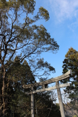 母智丘（もちお）神社②