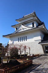 天ケ城公園その１０