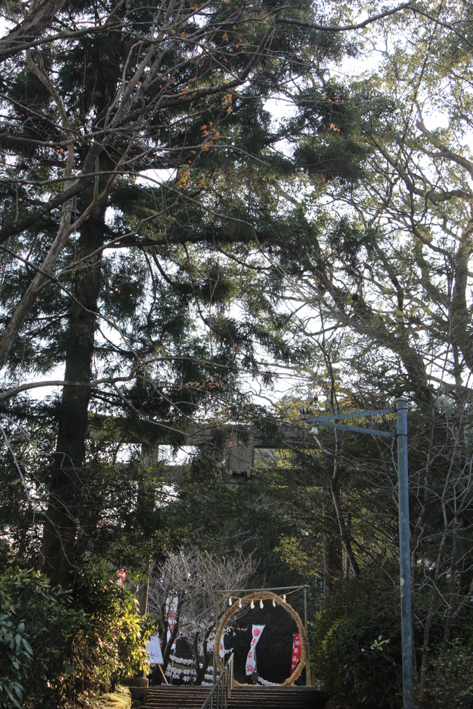 母智丘（もちお）神社①