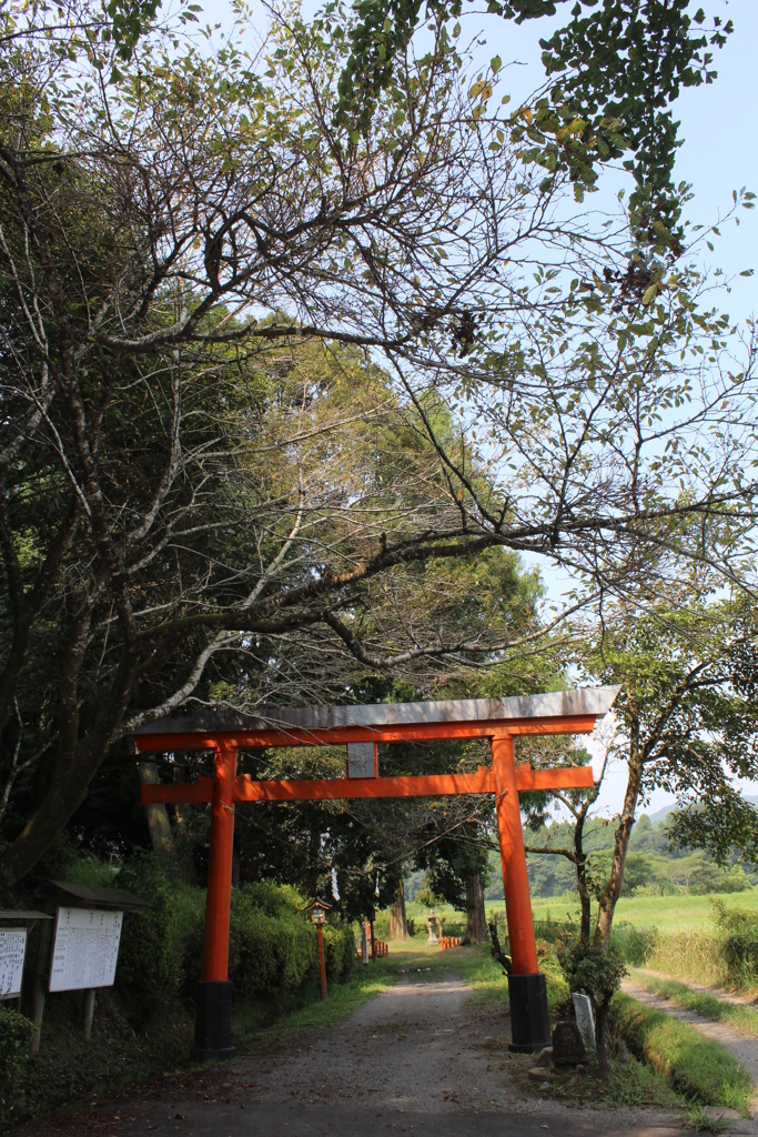 檍（あおき）神社参り②