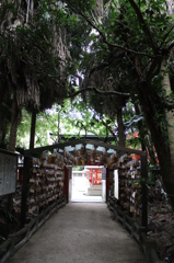 青島神社参り⑫