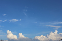 もくもく雲と昼の月