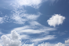 まぶしい夏空