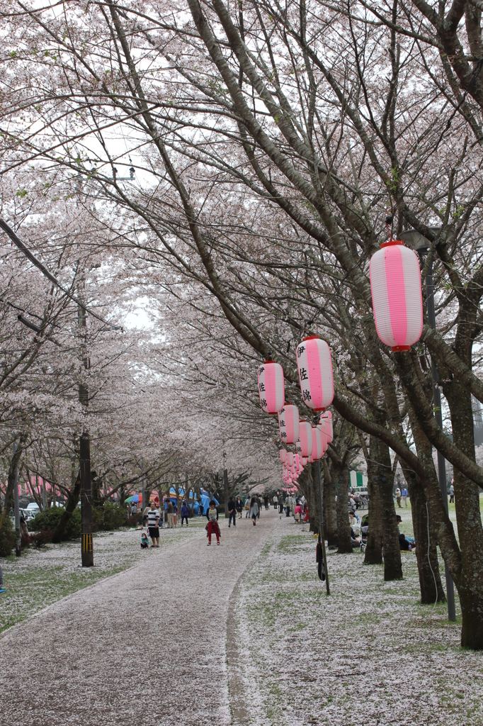 忠元公園その５