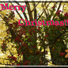 メリークリスマス