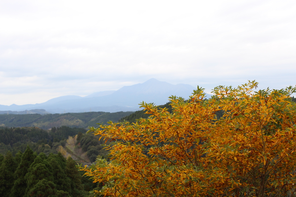 霧島と紅葉①