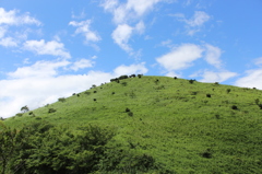 緑の山と青空