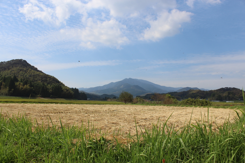 紫尾山（しびさん）