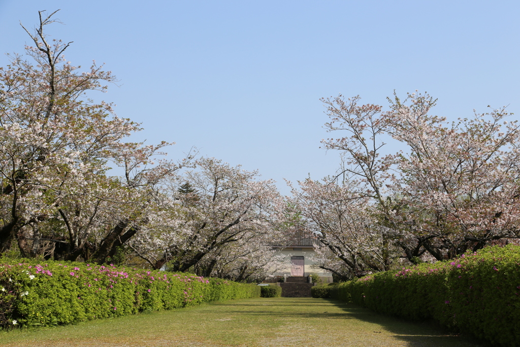 近場の公園でパチリ③