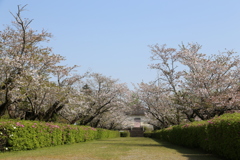 近場の公園でパチリ③