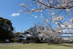 歴史資料館の桜⑥