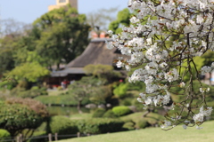 水前寺公園⑦