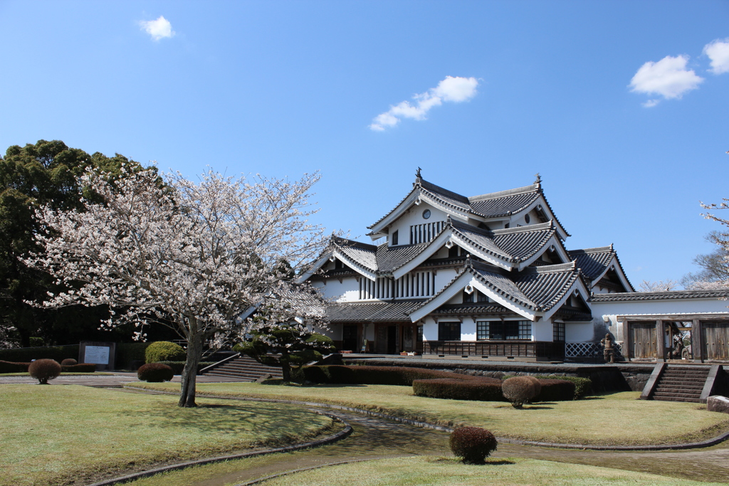 歴史資料館の桜⑧