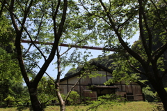 大吊り橋その４