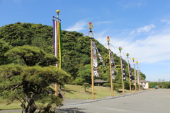 五月幟（ごがつのぼり）①