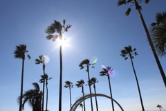 霧島ヶ丘公園④