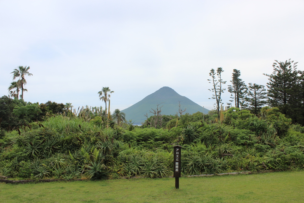 開聞岳②