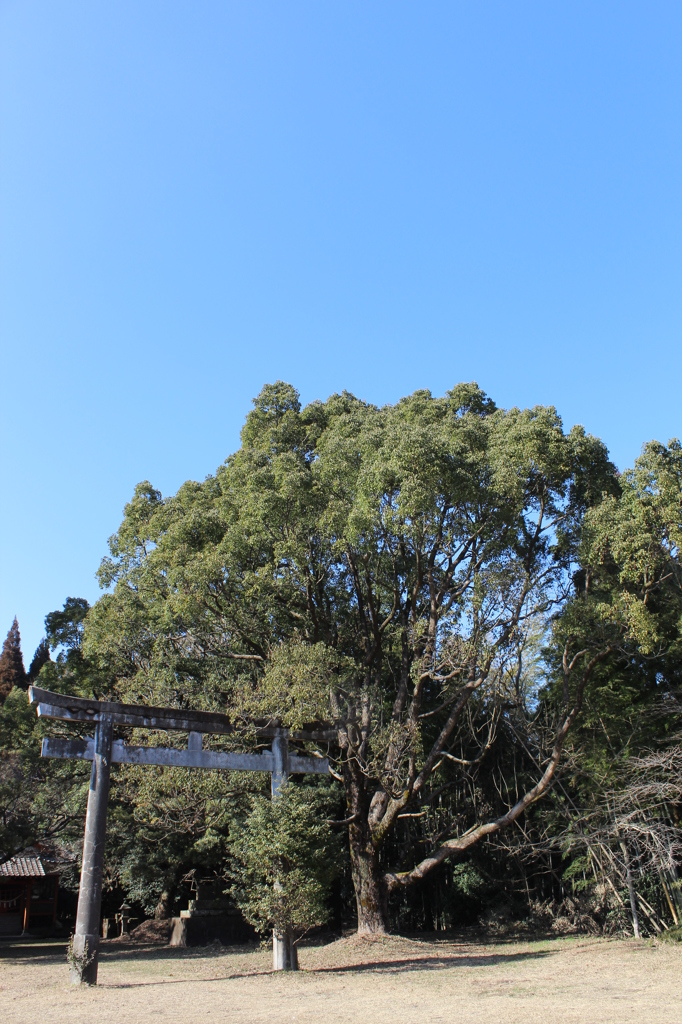 日枝神社その２