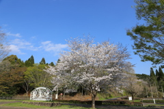 くまそ広場にて②