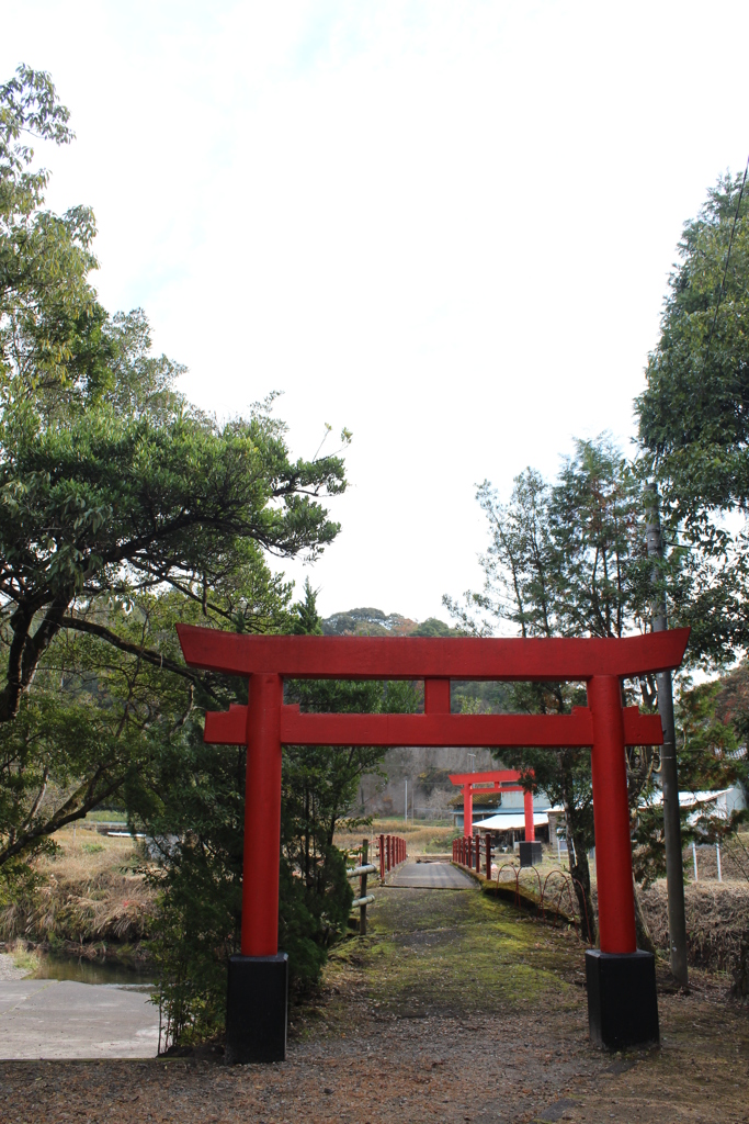 前玉神社⑥