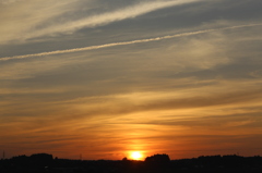飛行機雲と夕焼け