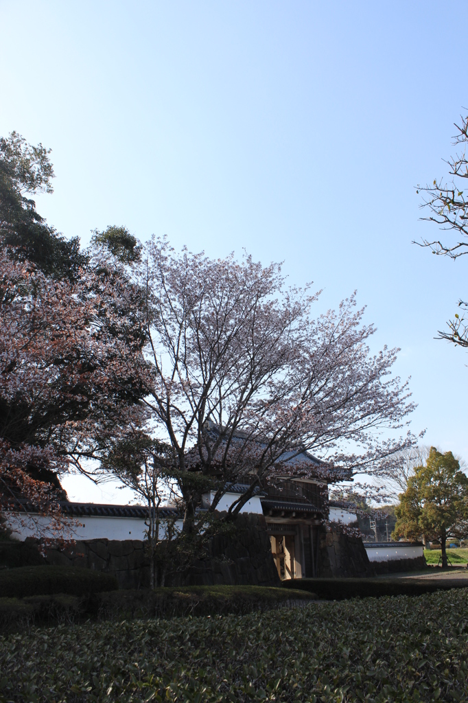 城山公園（都城歴史資料館）①