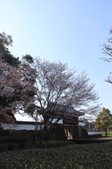 城山公園（都城歴史資料館）①