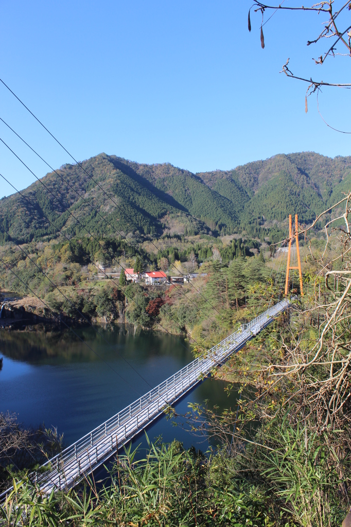 すきむらんどの吊り橋①