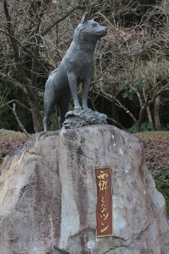 西郷どんのツン②
