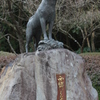 西郷どんのツン②