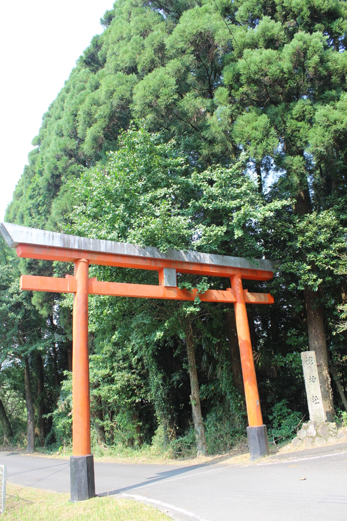 檍（あおき）神社参り①