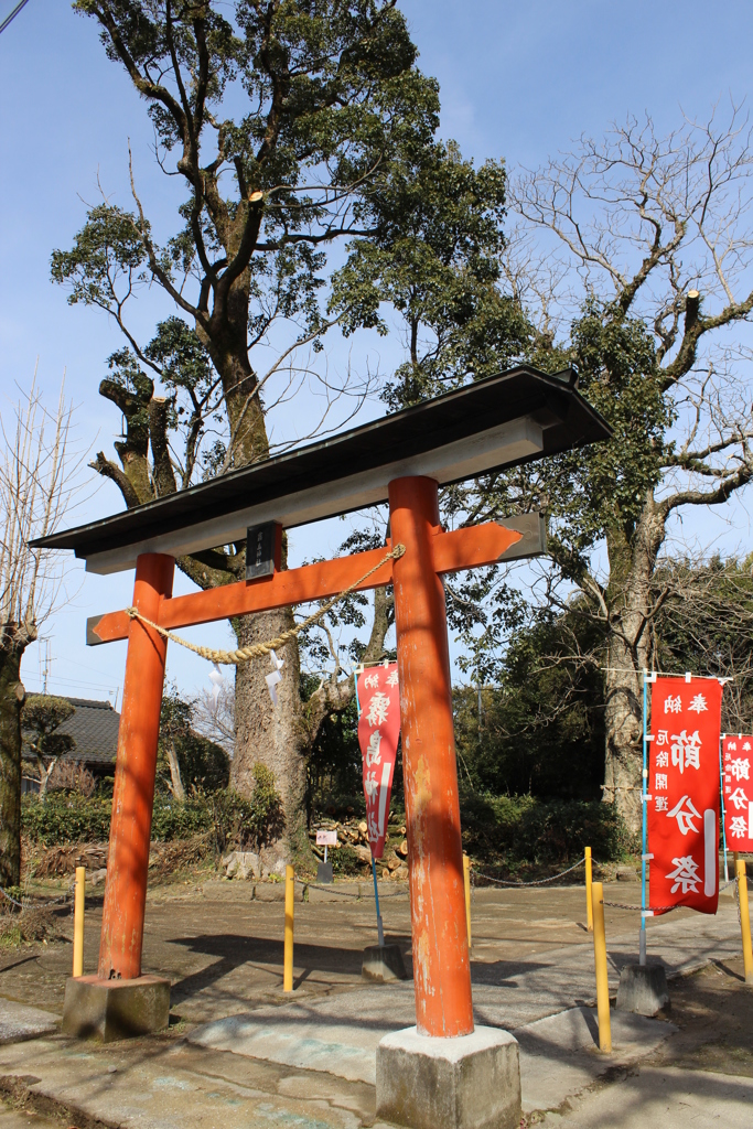 霧島神社（蒲生町）②