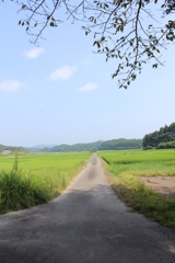 なんか、好き！！①