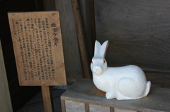 撫でウサギ