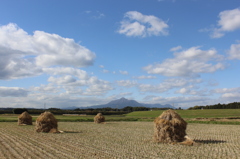 わらこずみと霧島その１