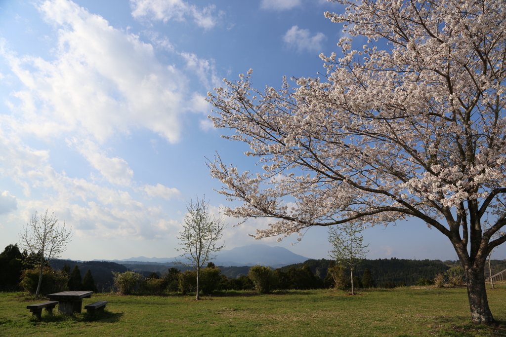 くまそ広場にて⑫
