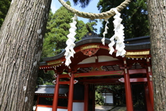 霧島東神社①