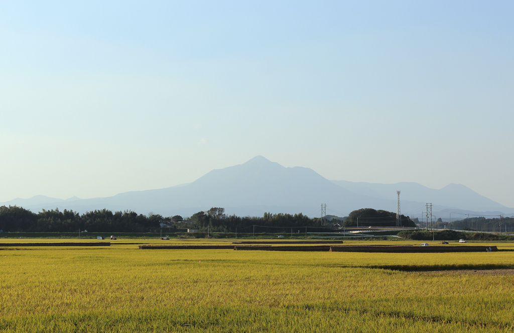 稲穂と霧島その２