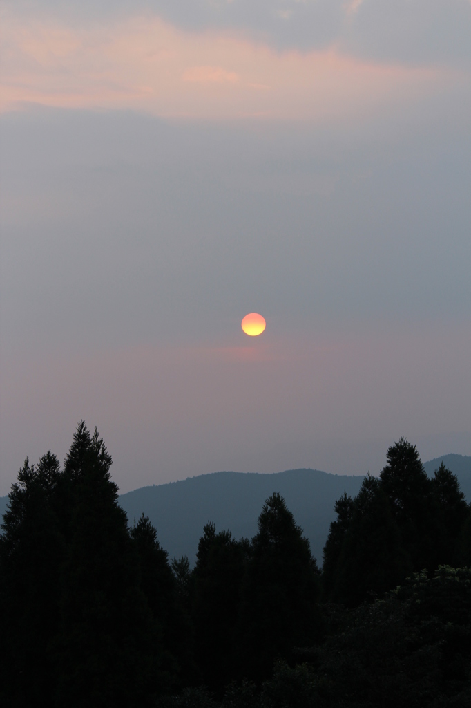 夕暮れ時は寂しそう⑤