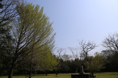 公園で緑をパチリ①